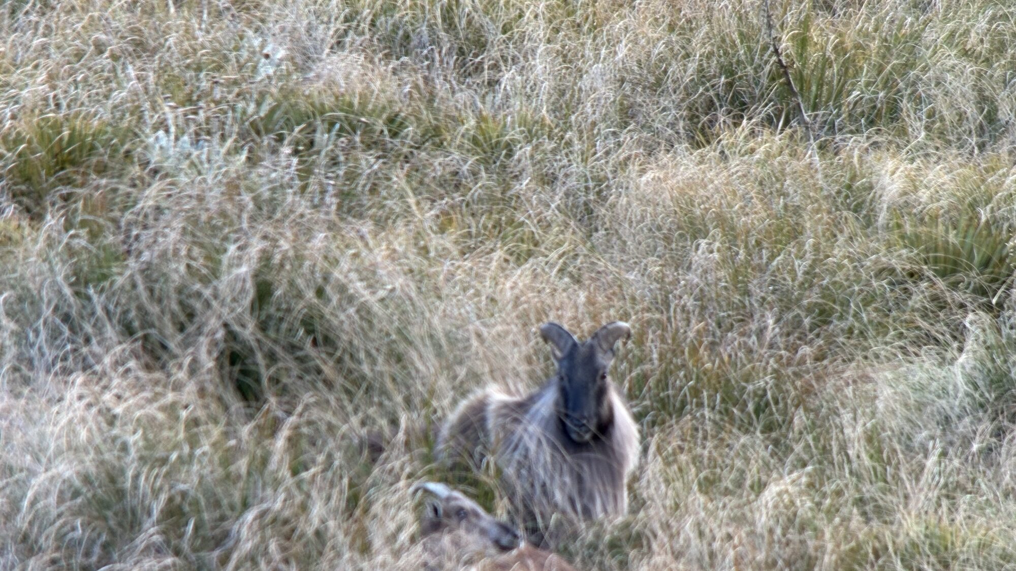 img 7190.jpg